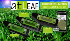 ����������� ���������� ������ ���������� (N-������) atLEAF CHL STD (���)